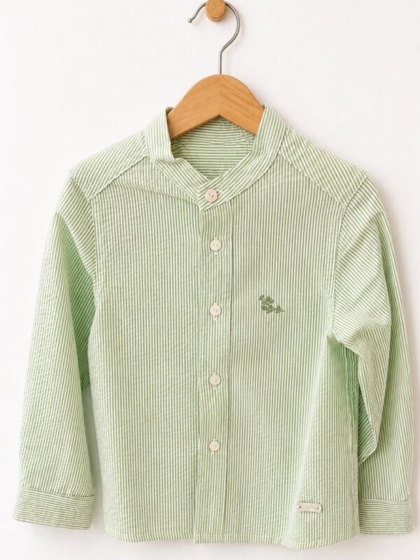 Camisa rayas verde